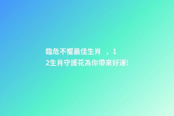臨危不懼最佳生肖，12生肖守護花為你帶來好運!